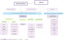 Organigram bolnišnice Organigram bolnišnice